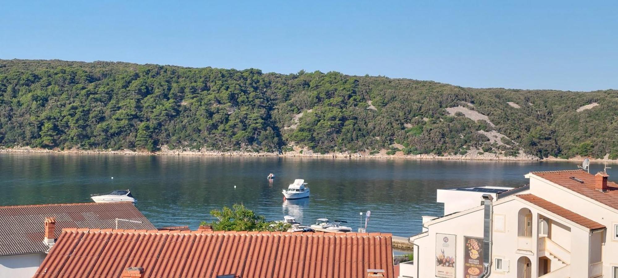 Apartmani Sladana Kampor Cameră foto
